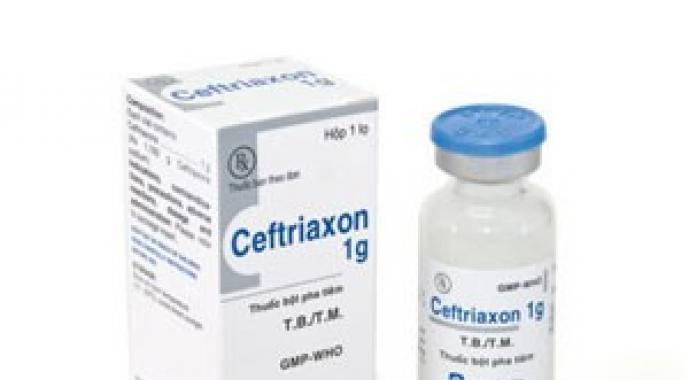 Цефазолин — Показания К Применению Цефазолин уколы дозировка взрослым